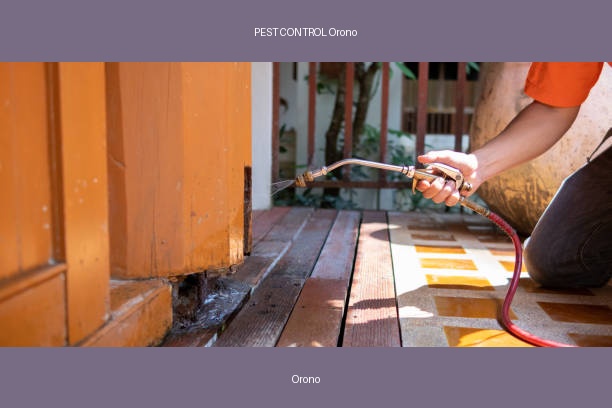 PEST CONTROL Orono